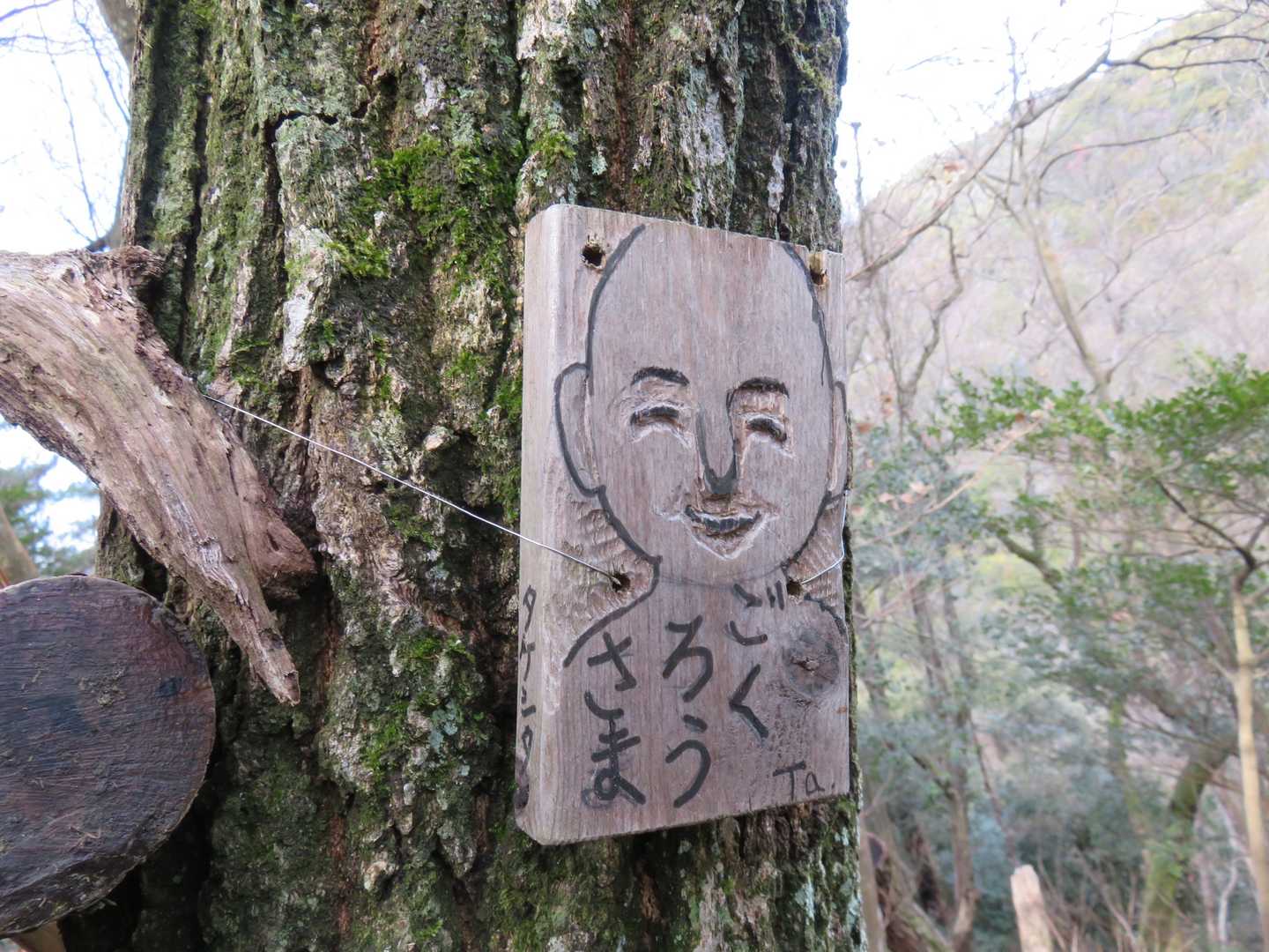 宮ヶ迫山-中野山 往復コースの写真