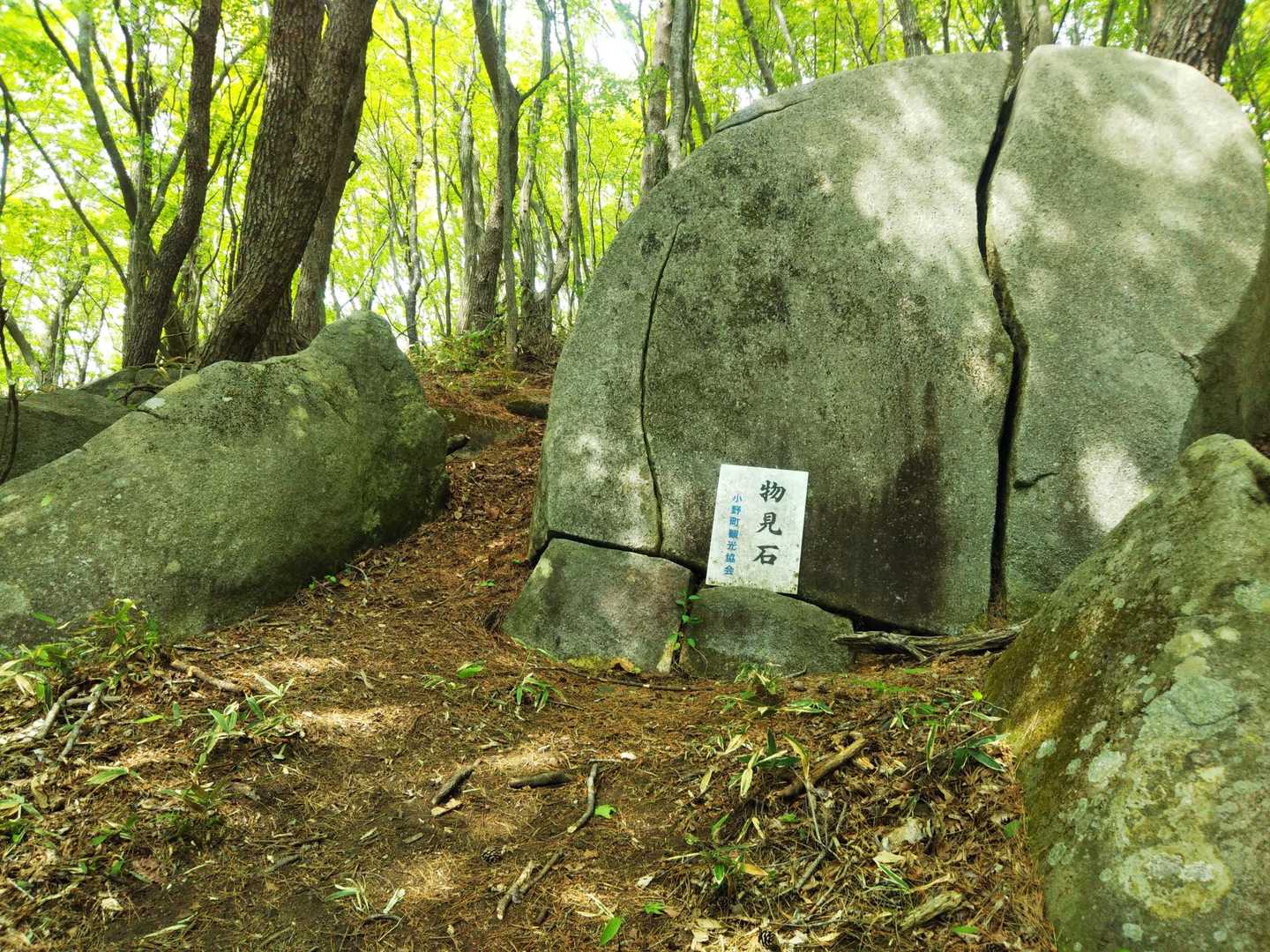 物見石