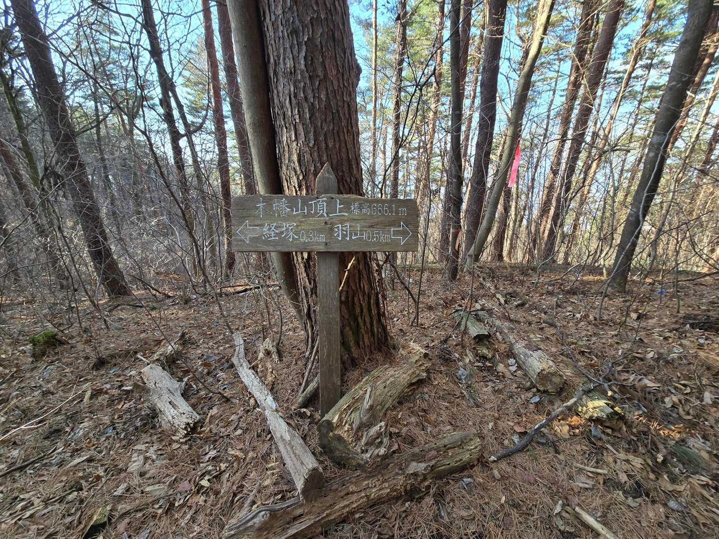 木幡山山頂、眺望なし。😢