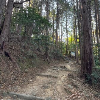 とても歩きやすくて気持ちよい場所です