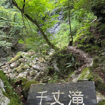 わざわざ遠回りしていった千丈滝は・・・