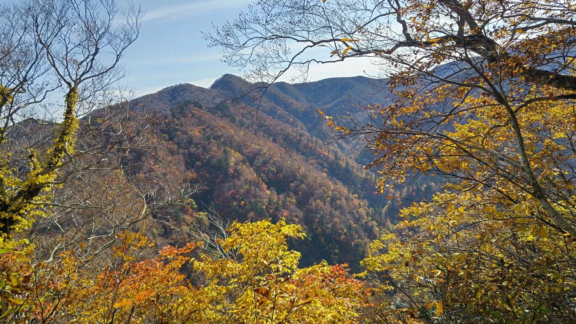牛形山 往復コースの写真