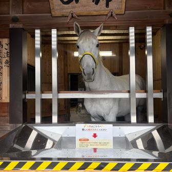下山してお馬さん。さ、さ、
とっておきの最高級人参をどーぞどーぞ🥕
奮発して3個あげるでね😚ええ。

晴れてとはいいません。
どーか雨だけは勘弁してください🙇🏻‍♂️