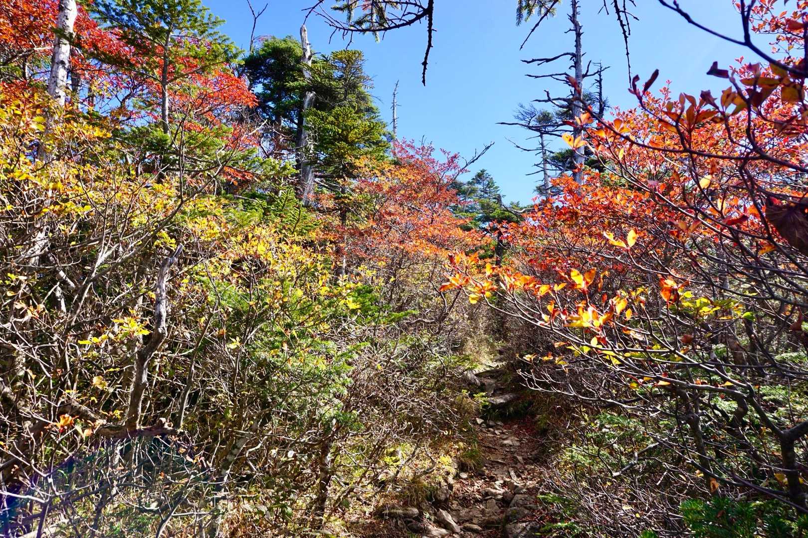 紅葉の稜線歩き♬