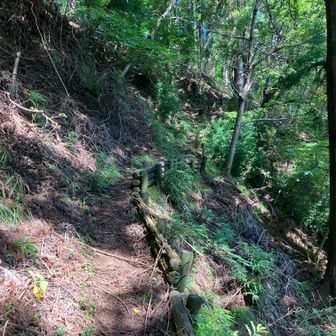 藪は入口だけで、登山道に出たら歩きやすい。