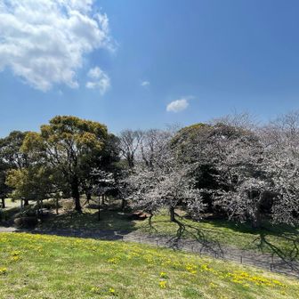 ぽかぽかと暖かい陽射しにウトウトしそうです☺️