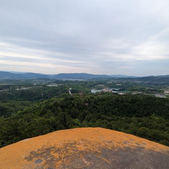 紅岩
オレンジ色のコケなのね