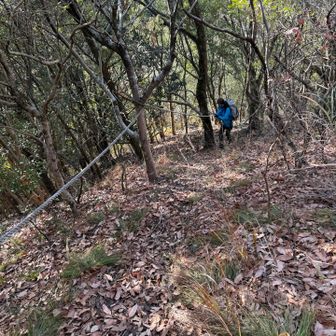 ロープ助かります！