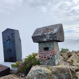 山神さま🙏
お邪魔しました🙏

ほんの少しの行動食で下山↘