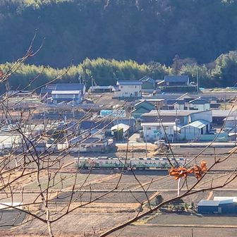 上信電鉄上信線
2両編成🚃