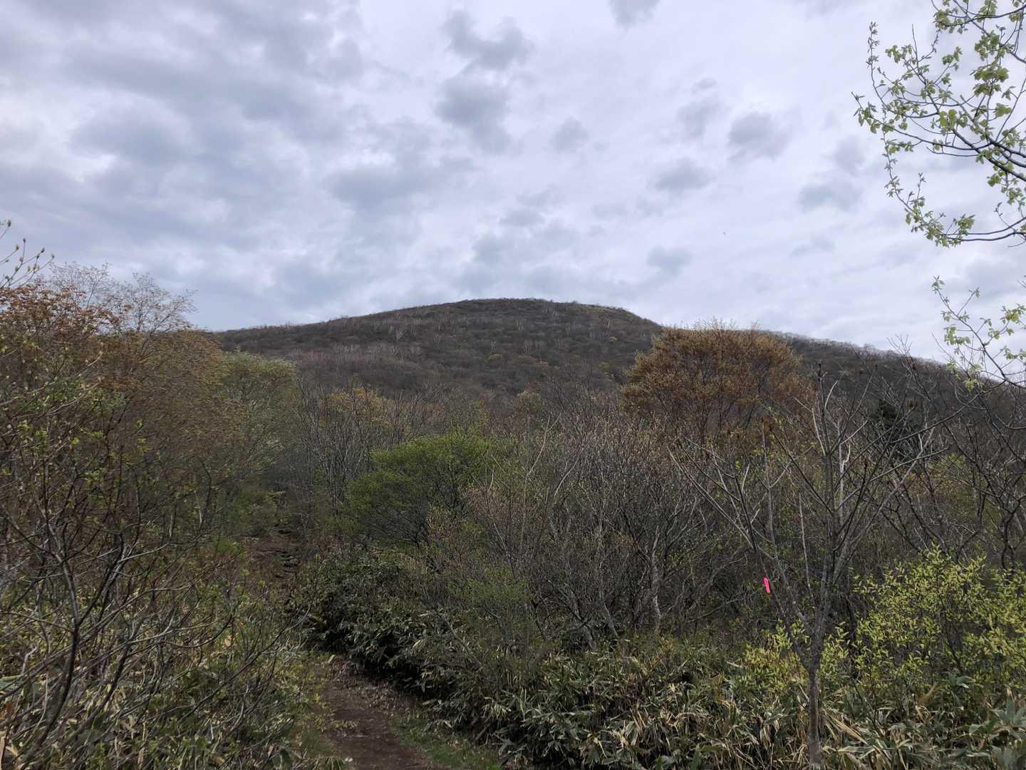 中腹で山頂見えてきた