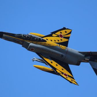 にゃんたの大冒険