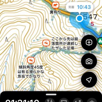 この先👆新しい🐻情報が😳行かない