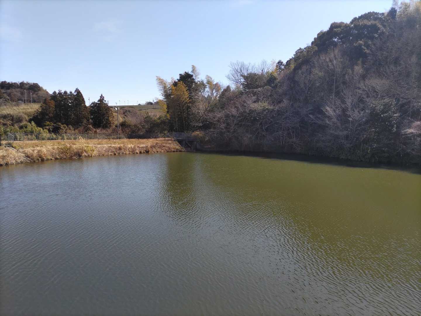 西沢池の横を通って登山口を目指します。