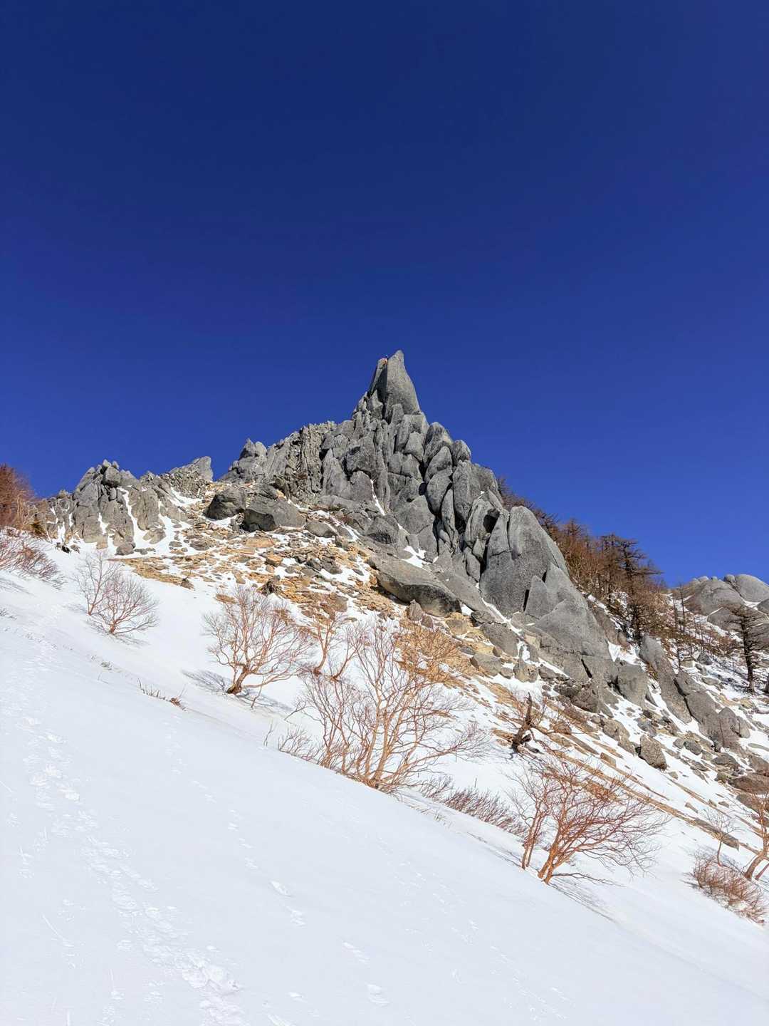 ❄️雪の鳳凰三山❄️日帰り！ / もっちーの登山データ | YAMAP / ヤマップ