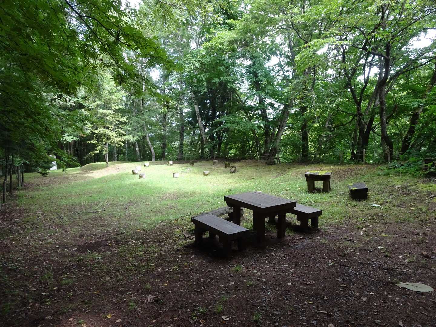 お弁当広場