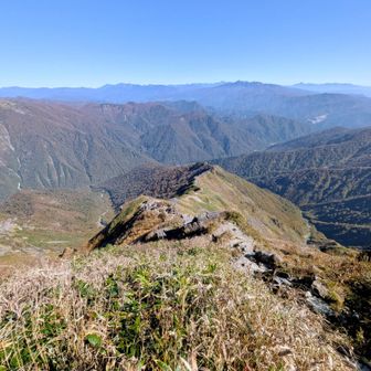そんな事で小屋でコーラ購入は諦め、最短距離の西黒使って下山です⤵️