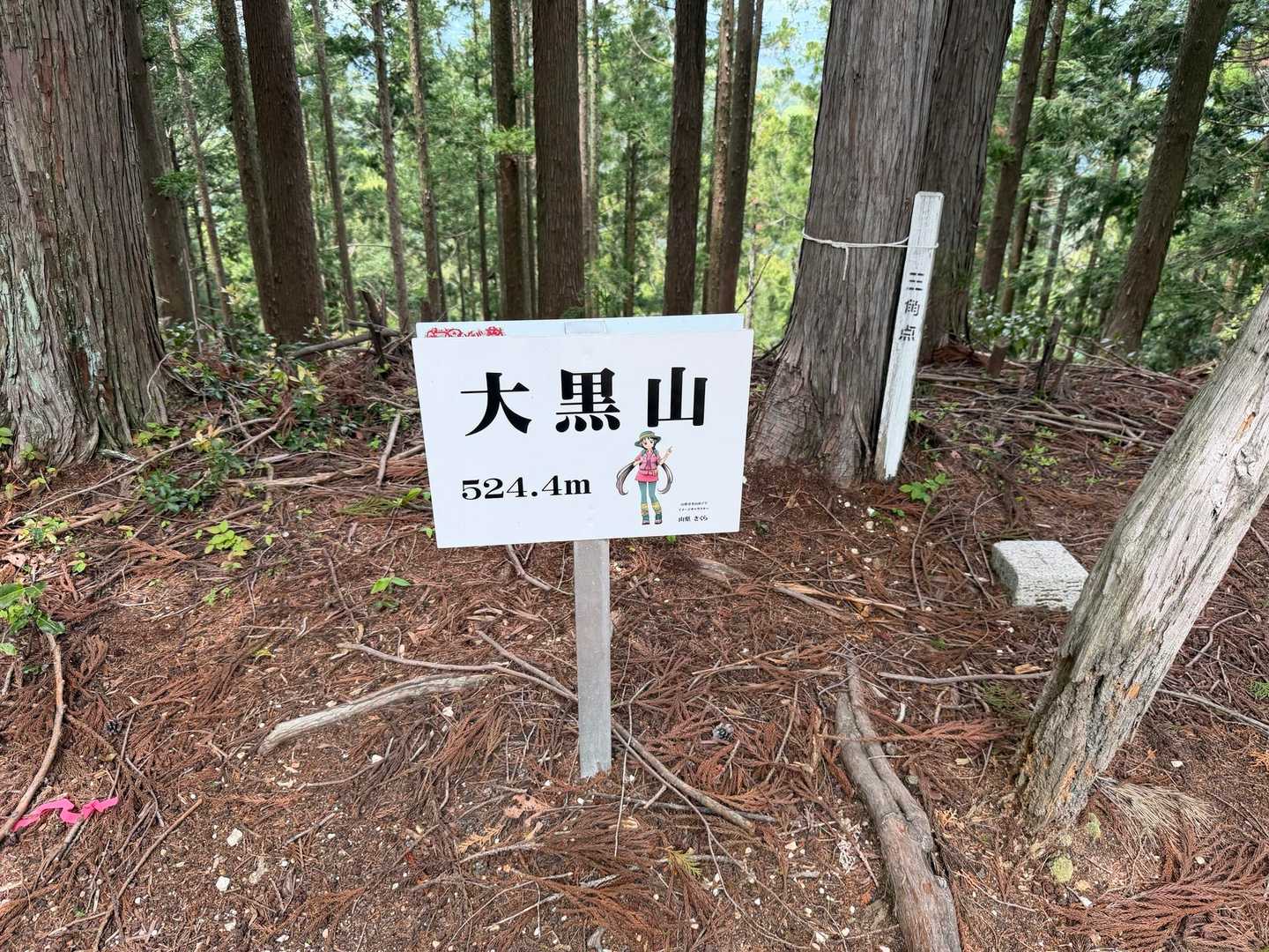 大黒山 往復コースの写真