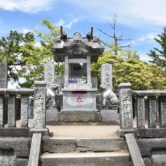 先週とは
うって変わって
キリッとしたお姿です