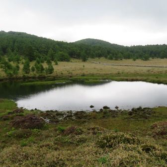 湿原って古代からの長い時間を感じる
