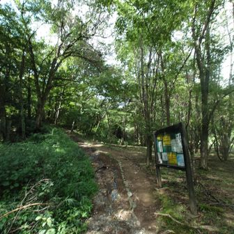 登山口