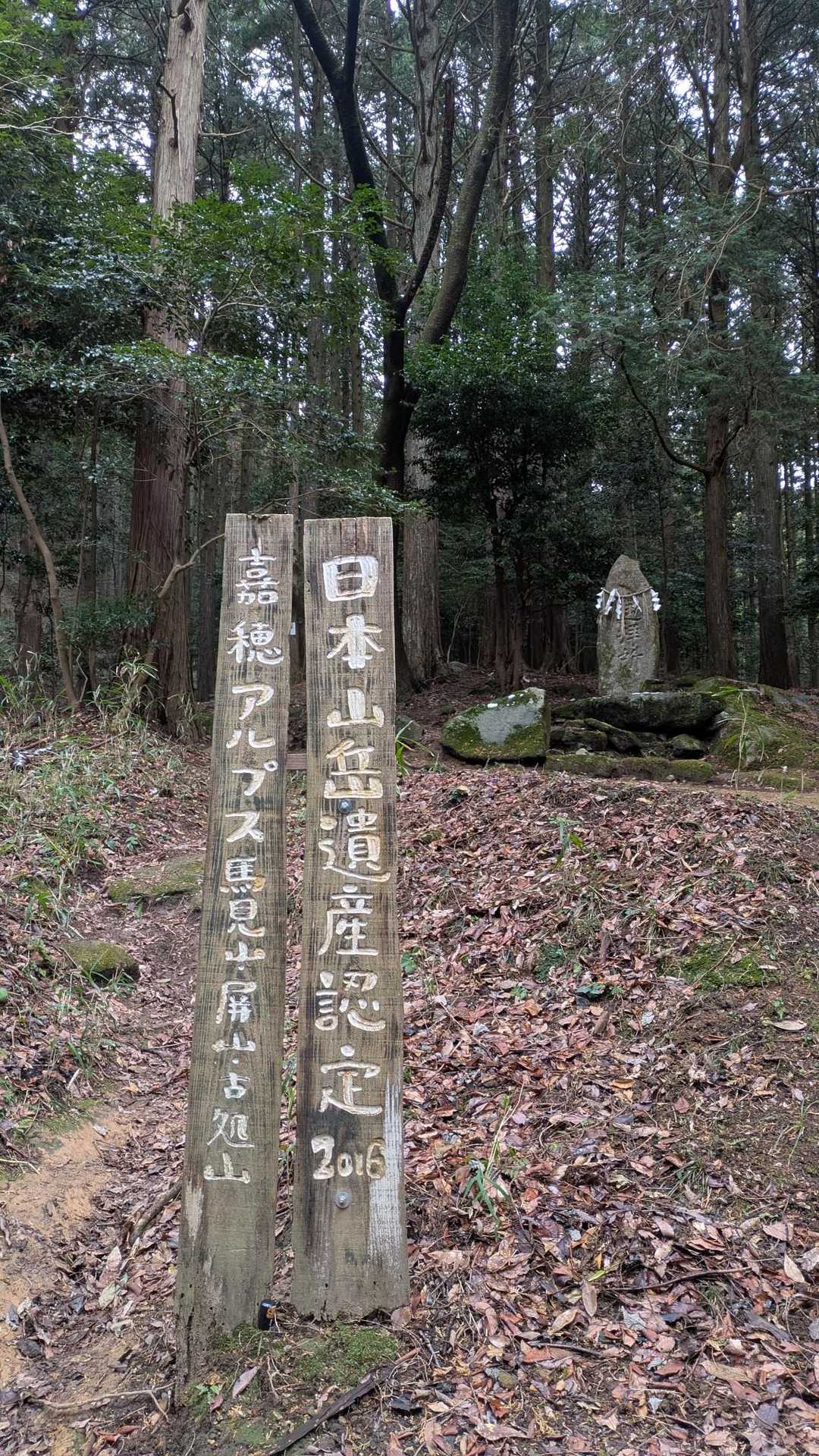 雪山を期待して
ここから山頂目指します