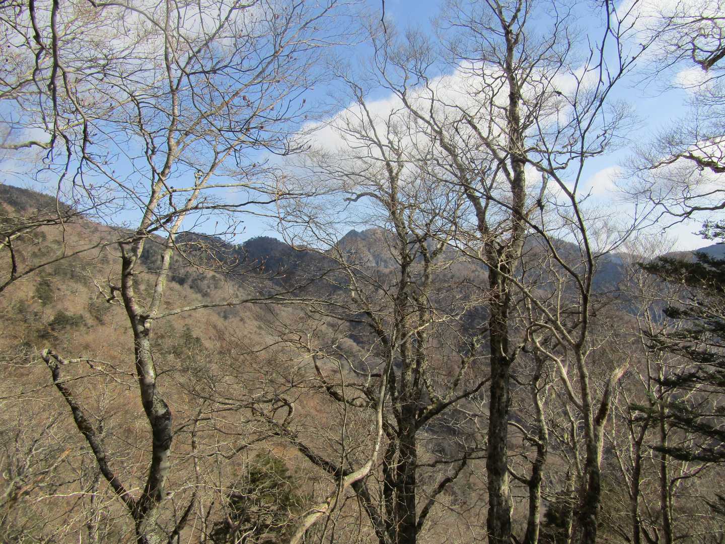 大谷嶺～ハチビツ山の稜線