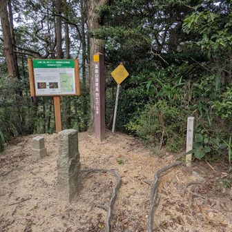 今晩のむビールのために登った高尾山🍺🤣
