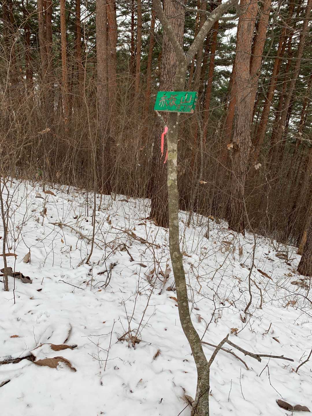 程なく山頂。