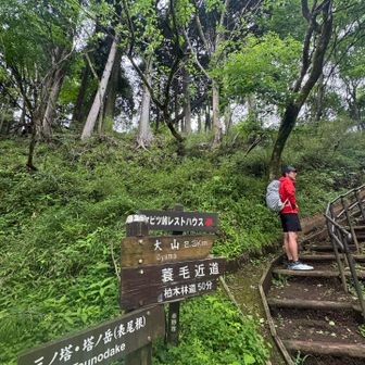 峠走の後に妻と合流し登山を予定。バスで上がる妻にリュックを運んでもらいましたが、雨が降り出したので下山します😖