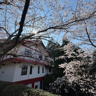 周りは人だらけ😂