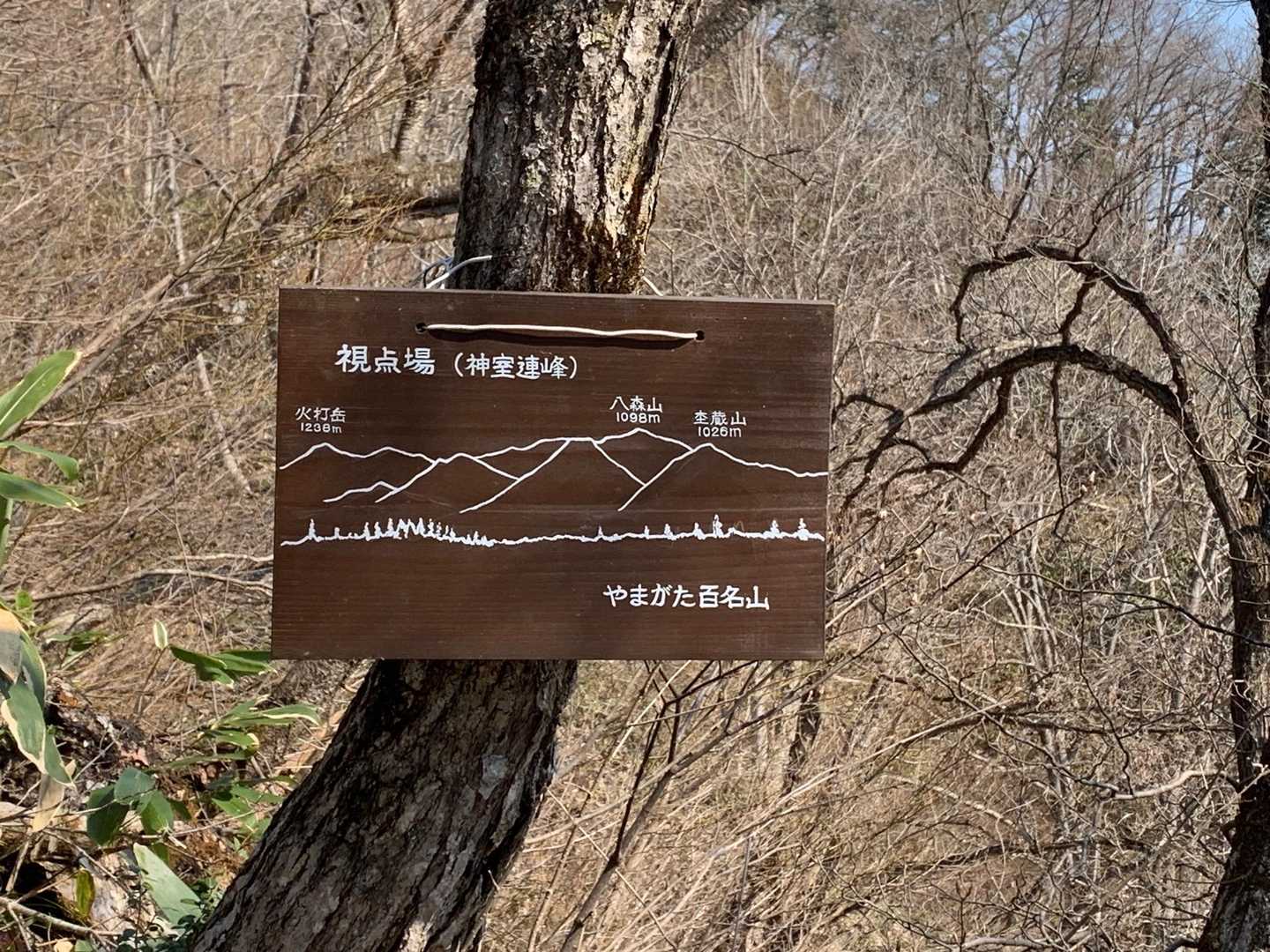 視点場到着。