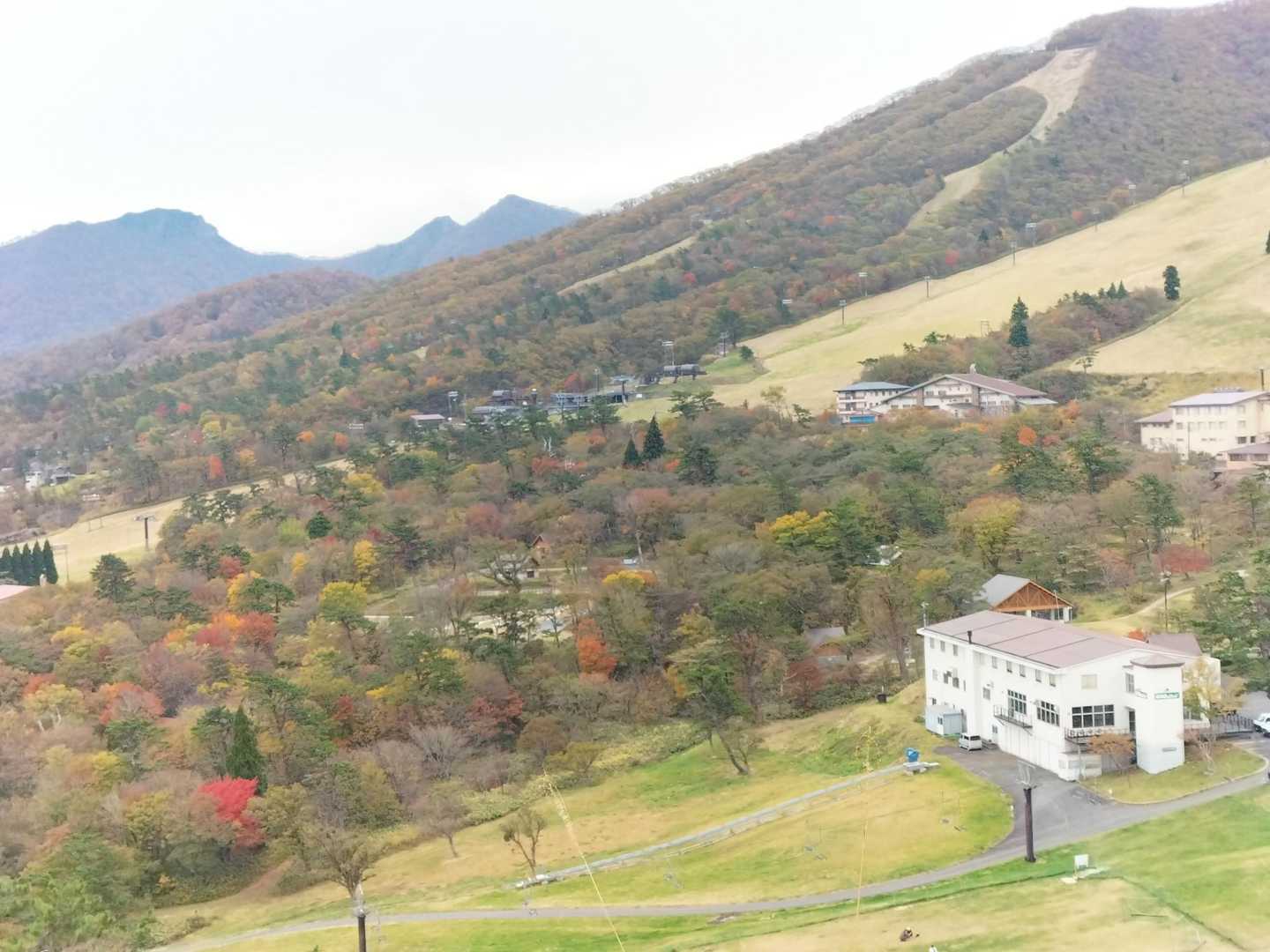 豪円山 往復コースの写真