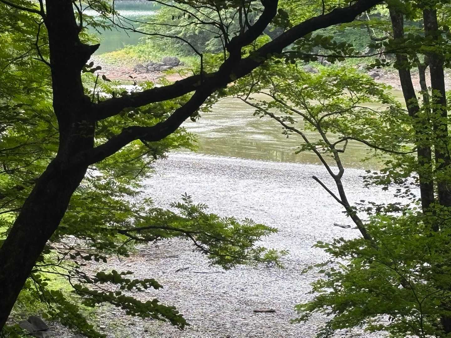 雨降っても水位変わらず