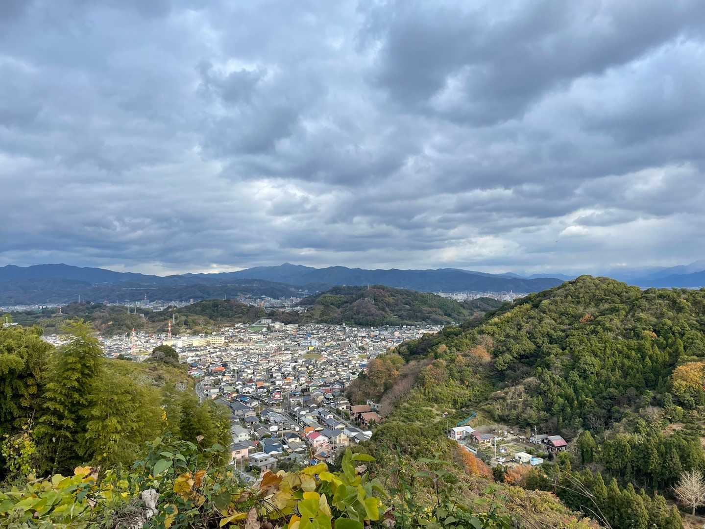 津田山（愛媛県）の最新登山情報 / 人気の登山ルート、写真、天気など