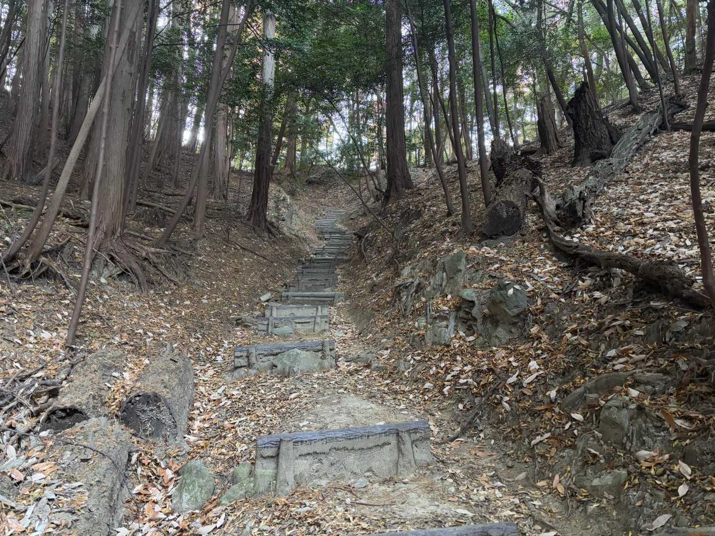 村積山 往復コースの写真