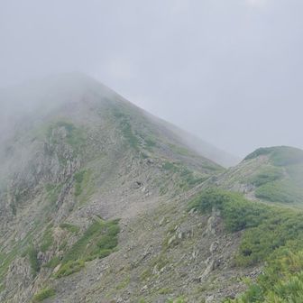 赤石岳