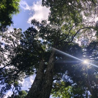 たまには空を見上げて〰️