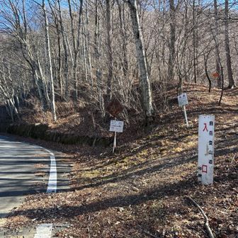 林道にでました。
ここから🅿️までは5kmのロード歩きです😅