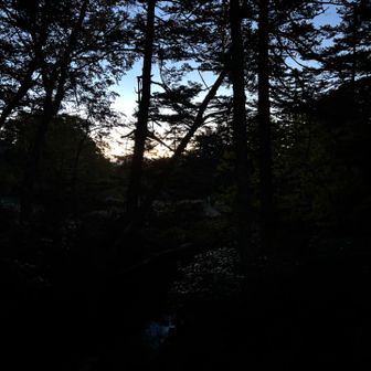 朝日出てきたよー
