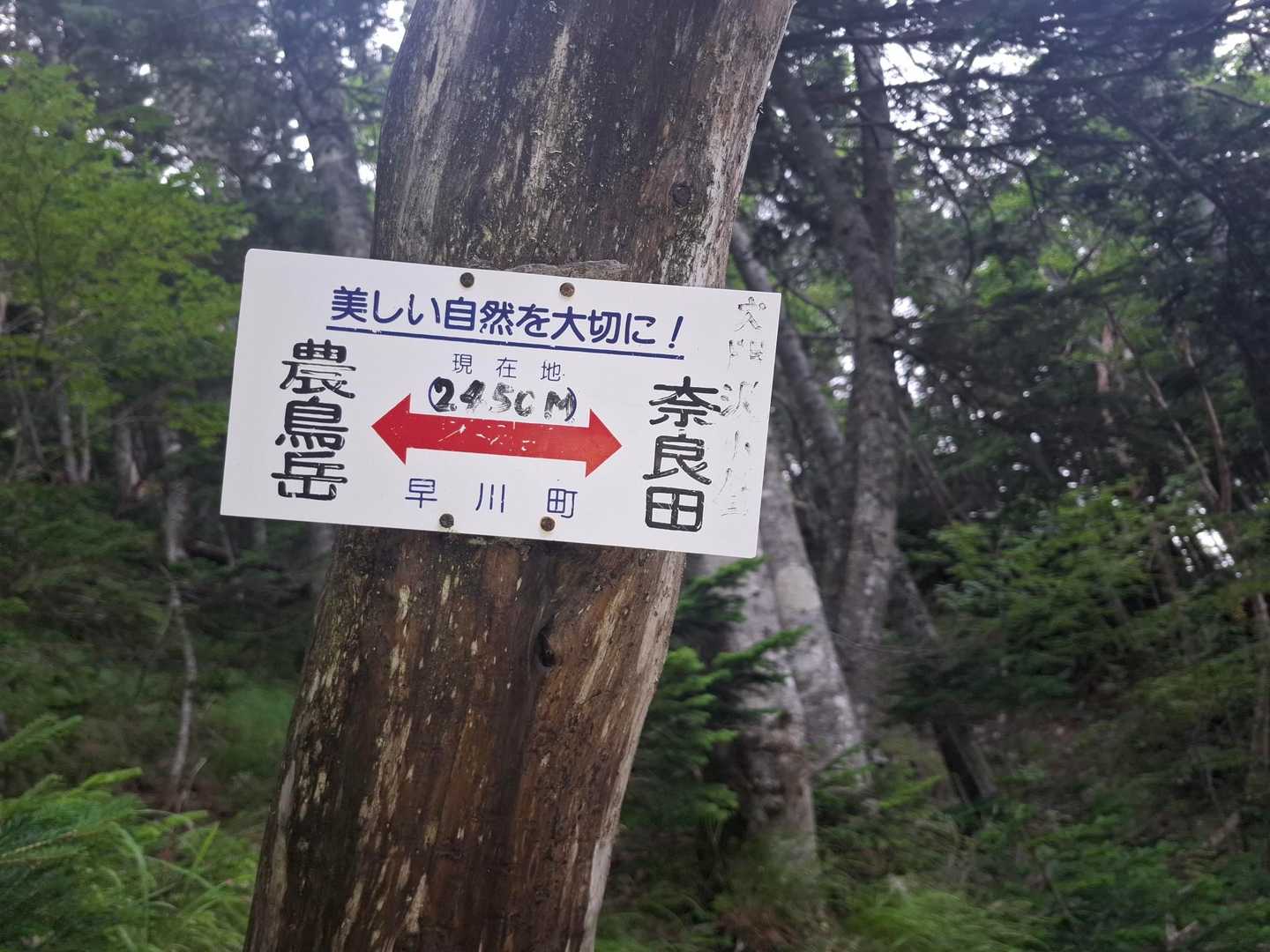 つづら折りの道で滑落しかけたわ💦下に人がいなくて良かった💦