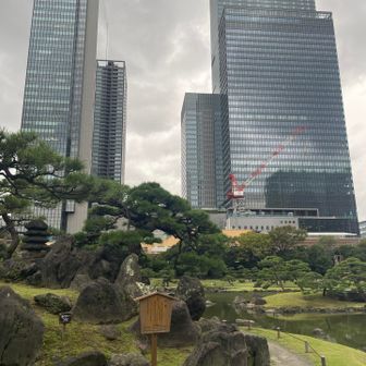 東京は良い公園がたくさんあって羨ましいです
