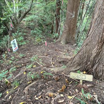上から　猪野沢口はここを鋭角に右に