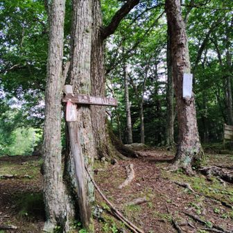 瑞牆山荘の前に登山口