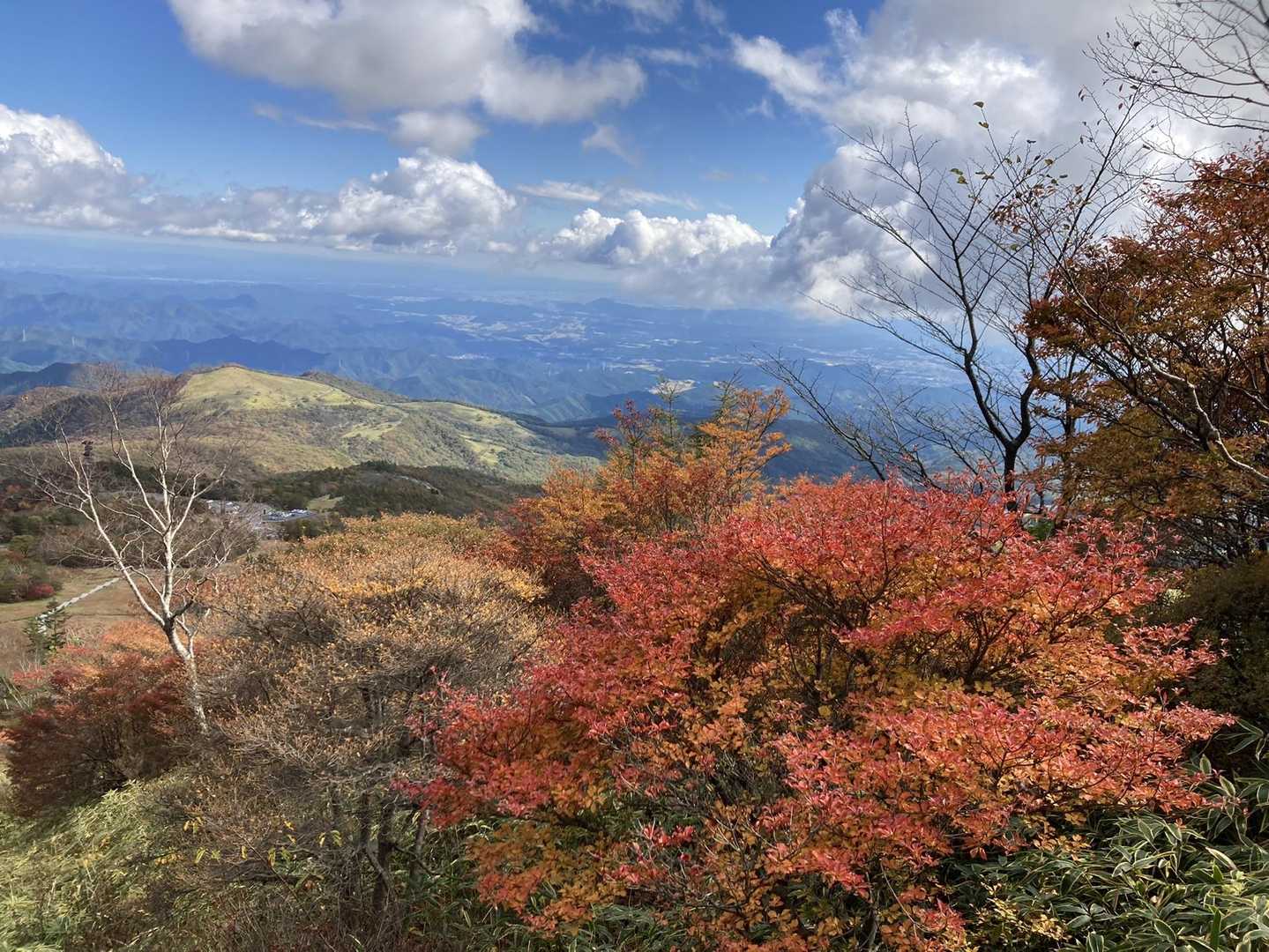 紅葉真っ盛り🍁