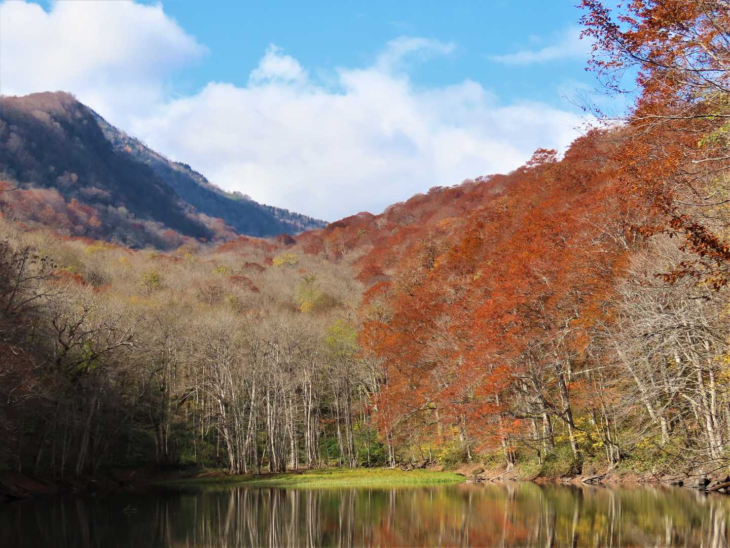 晴天の下、「長沼」の左後方に赤倉山がすっきり見えました。