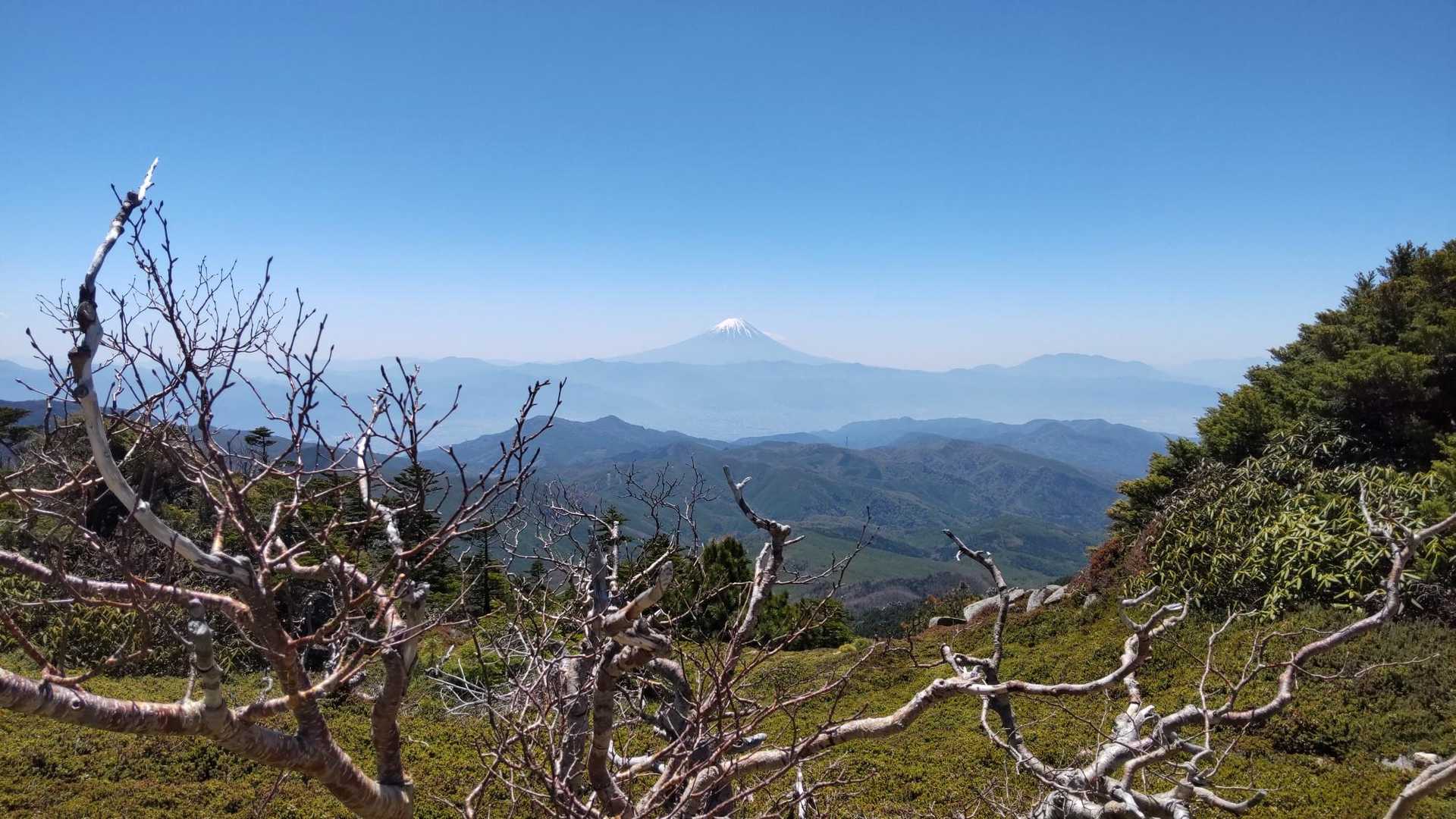 瑞牆山荘-金峰山 往復コースの写真