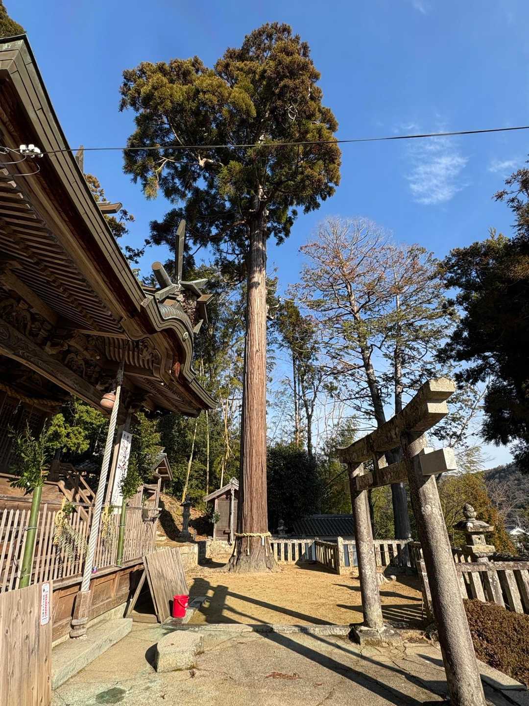 藍本駅-虚空蔵山登山口-虚空蔵山 往復コースの写真