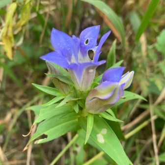 無事下山
久しぶり草臥れました