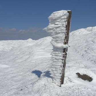 トーキョーハイカー